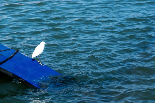 Séance de renforcement musculaire à montpellier : 5 conseils essentiels